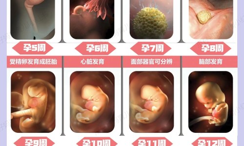 怎样能消耗脂肪-什么能消耗脂肪和蛋白质专区_什么能消耗脂肪和蛋白质专区_什么能消耗脂肪网