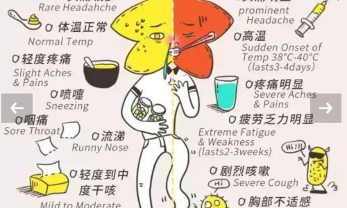 什么能消耗脂肪和蛋白质专区_什么能消耗脂肪和蛋白质专区_什么能消耗脂肪网